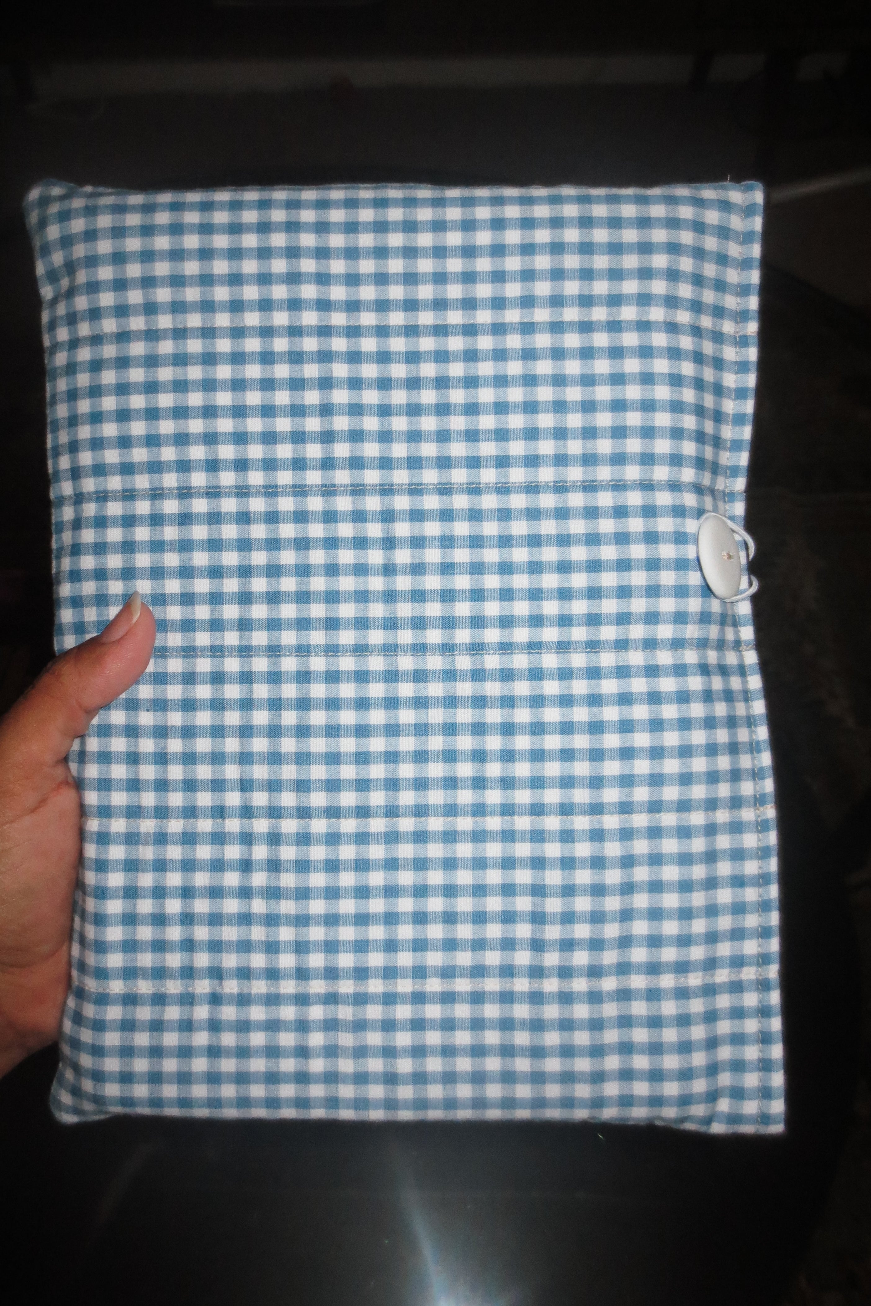 Blue Gingham Book Sleeve